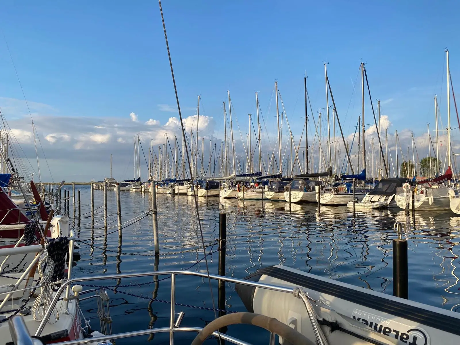 Blick vom Cockpit eines Segelboots auf eine Marina voller Masten im Abendlicht
