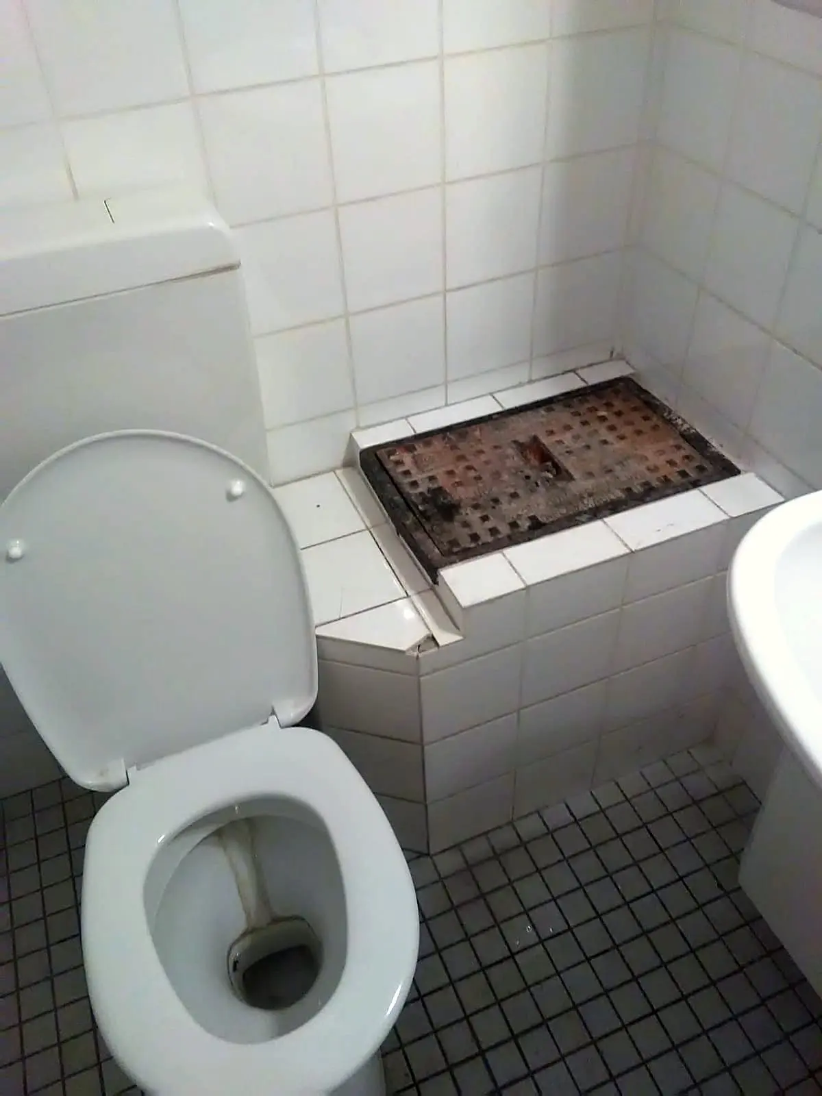 Toilette in einem gefliesten Raum, direkt daneben die eingelassene Abdeckung eines Abscheiderschachts
